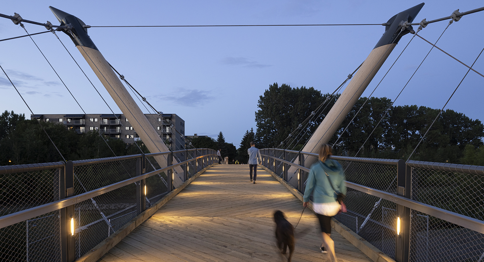 Passerelle de la Tortue